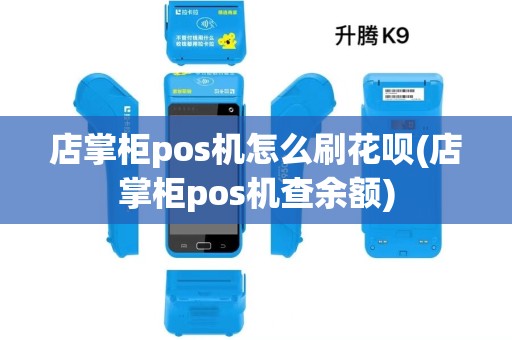 店掌柜pos机怎么刷花呗(店掌柜pos机查余额)