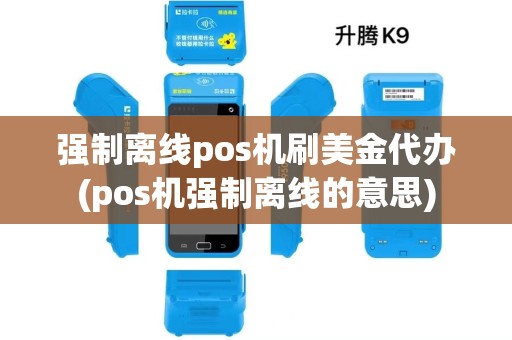 强制离线pos机刷美金代办(pos机强制离线的意思)