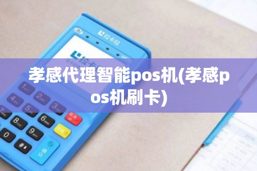 孝感代理智能pos机(孝感pos机刷卡)