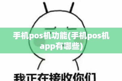 手机pos机功能(手机pos机app有哪些)