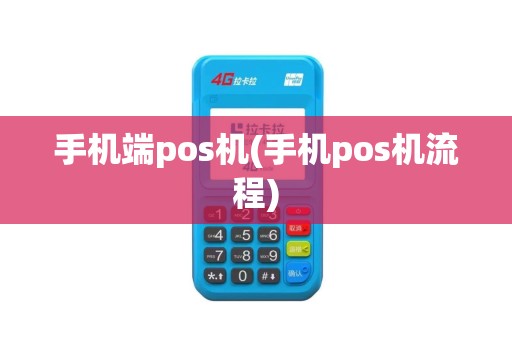 手机端pos机(手机pos机流程)