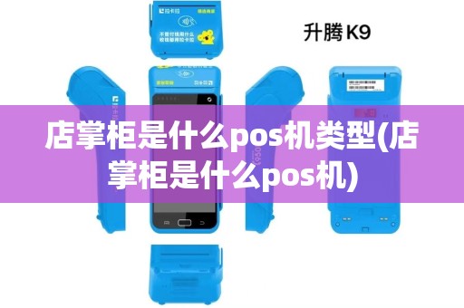 店掌柜是什么pos机类型(店掌柜是什么pos机)
