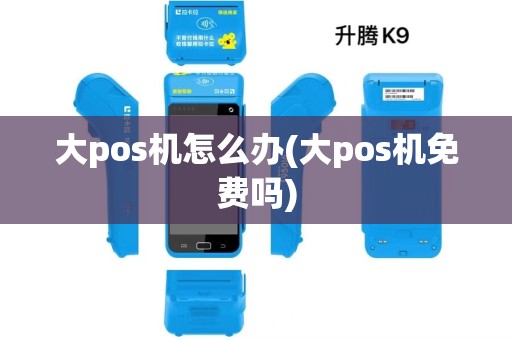 大pos机怎么办(大pos机免费吗)
