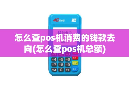 怎么查pos机消费的钱款去向(怎么查pos机总额)