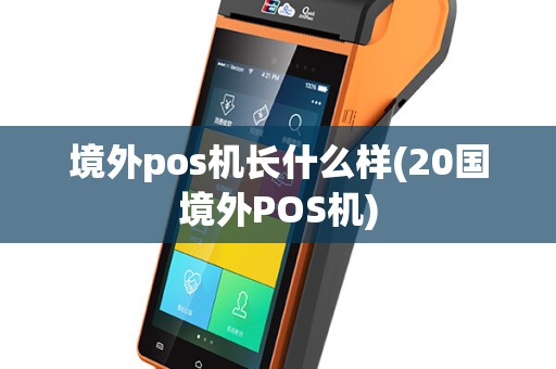 境外pos机长什么样(20国境外POS机)