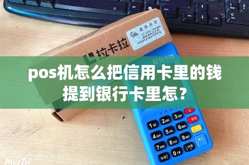 pos机怎么把信用卡里的钱提到银行卡里怎？
