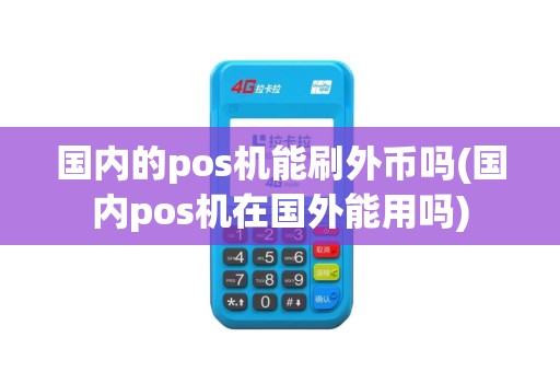 国内的pos机能刷外币吗(国内pos机在国外能用吗)
