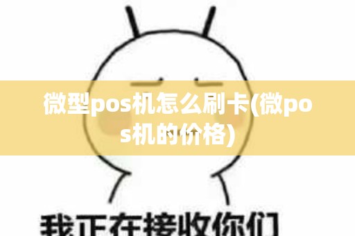 微型pos机怎么刷卡(微pos机的价格)