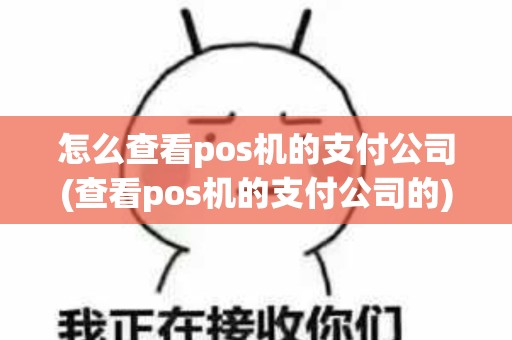 怎么查看pos机的支付公司(查看pos机的支付公司的)