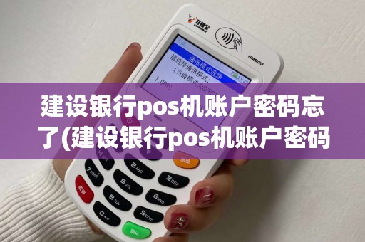建设银行pos机账户密码忘了(建设银行pos机账户密码)