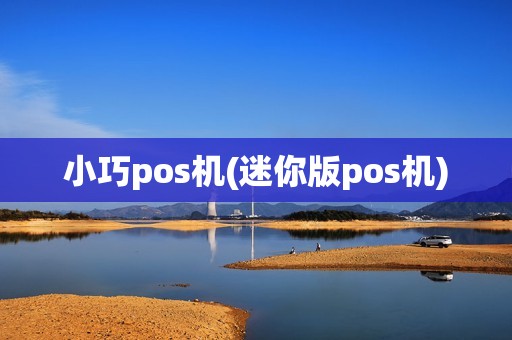 小巧pos机(迷你版pos机)