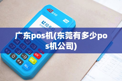 广东pos机(东莞有多少pos机公司)