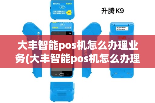 大丰智能pos机怎么办理业务(大丰智能pos机怎么办理)