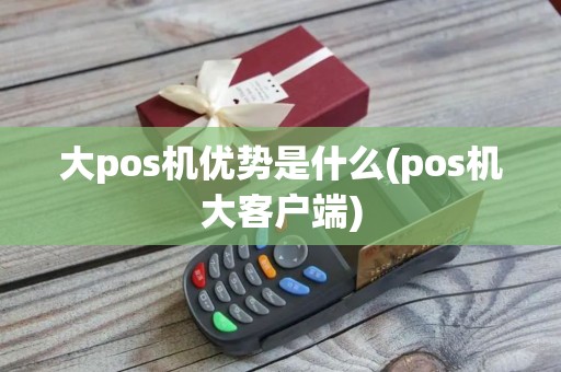 大pos机优势是什么(pos机大客户端)
