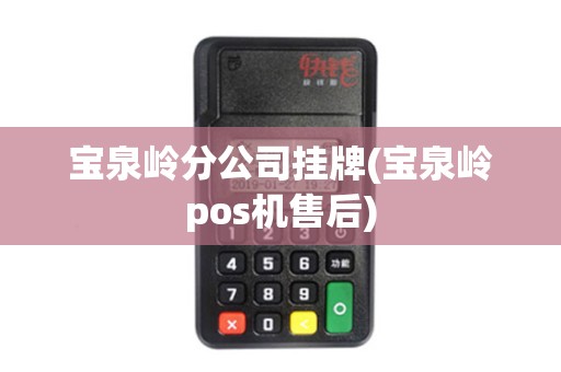 宝泉岭分公司挂牌(宝泉岭pos机售后)