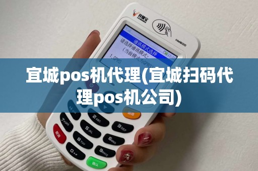 宜城pos机代理(宜城扫码代理pos机公司)
