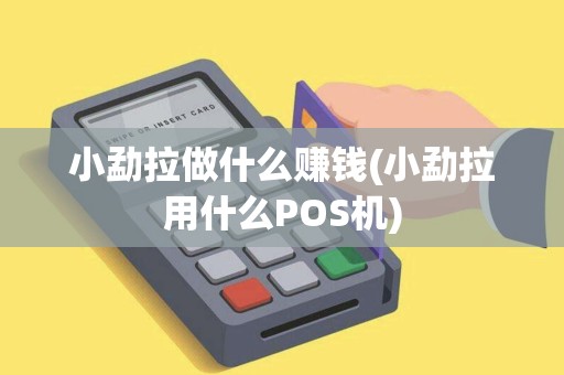 小勐拉做什么赚钱(小勐拉用什么POS机)