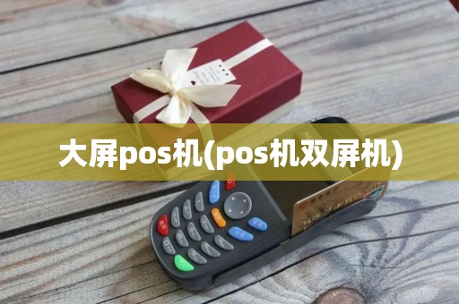 大屏pos机(pos机双屏机)