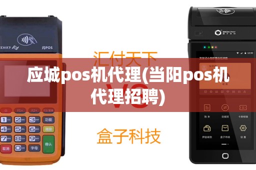 应城pos机代理(当阳pos机代理招聘)