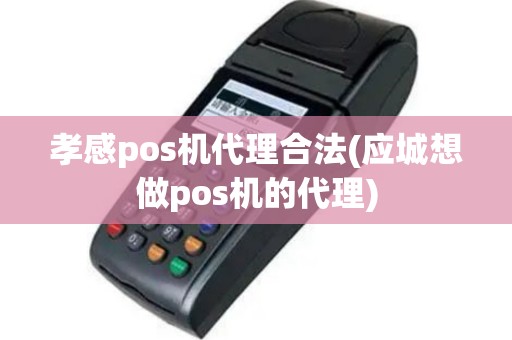 孝感pos机代理合法(应城想做pos机的代理)