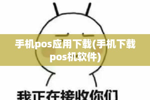手机pos应用下载(手机下载pos机软件)