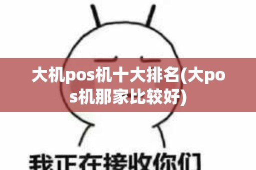 大机pos机十大排名(大pos机那家比较好)