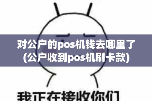 对公户的pos机钱去哪里了(公户收到pos机刷卡款)