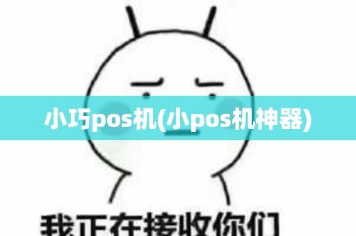 小巧pos机(小pos机神器)