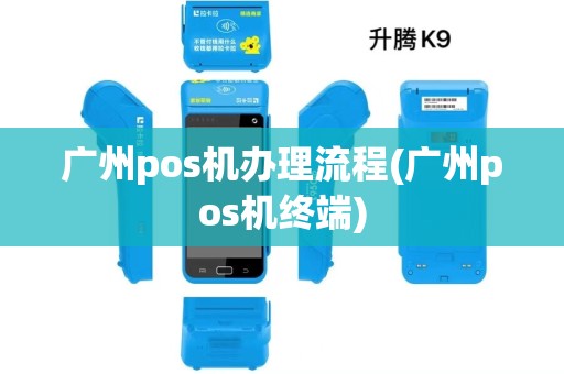 广州pos机办理流程(广州pos机终端)
