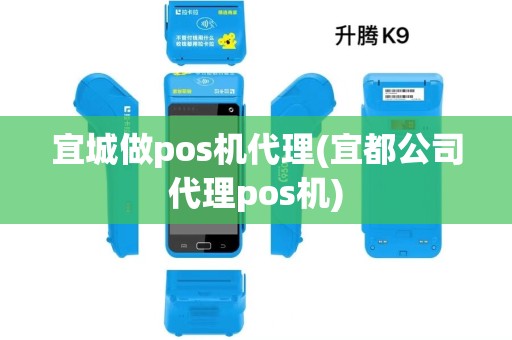 宜城做pos机代理(宜都公司代理pos机)