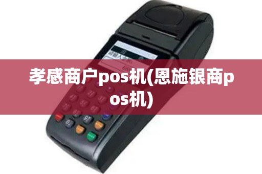 孝感商户pos机(恩施银商pos机)