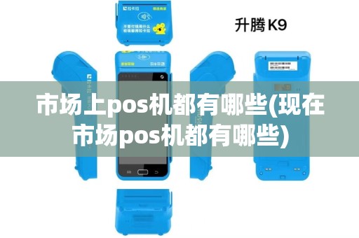 市场上pos机都有哪些(现在市场pos机都有哪些)