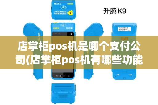 店掌柜pos机是哪个支付公司(店掌柜pos机有哪些功能)