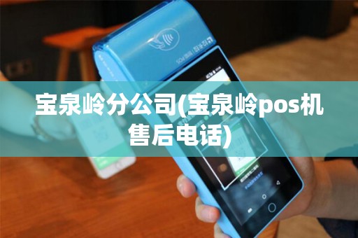 宝泉岭分公司(宝泉岭pos机售后电话)