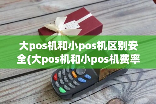 大pos机和小pos机区别安全(大pos机和小pos机费率区别)