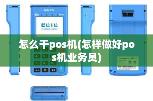 怎么干pos机(怎样做好pos机业务员)