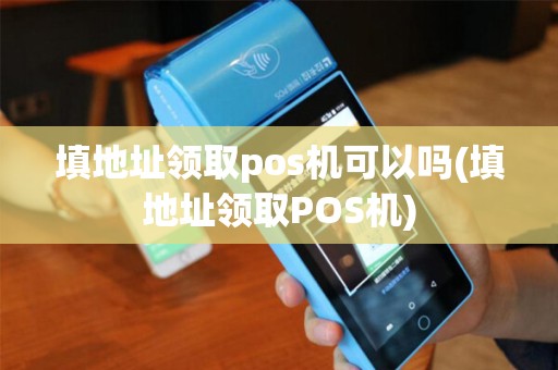 填地址领取pos机可以吗(填地址领取POS机)
