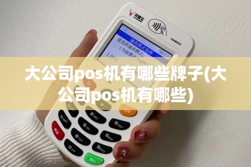 大公司pos机有哪些牌子(大公司pos机有哪些)