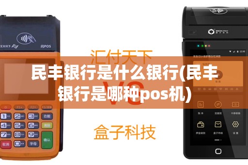 民丰银行是什么银行(民丰银行是哪种pos机)