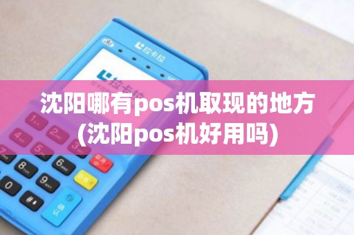 沈阳哪有pos机取现的地方(沈阳pos机好用吗)