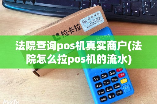 法院查询pos机真实商户(法院怎么拉pos机的流水)