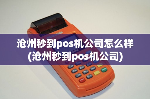 沧州秒到pos机公司怎么样(沧州秒到pos机公司)