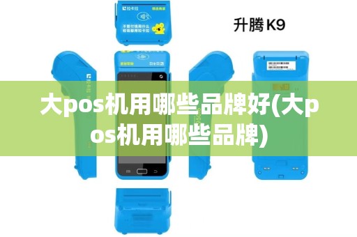 大pos机用哪些品牌好(大pos机用哪些品牌)