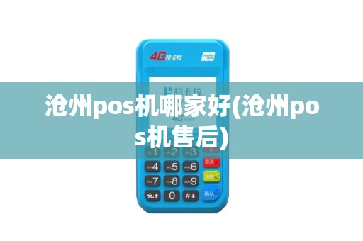 沧州pos机哪家好(沧州pos机售后)
