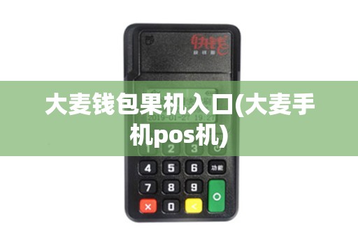 大麦钱包果机入口(大麦手机pos机)