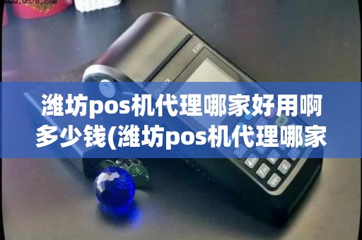 潍坊pos机代理哪家好用啊多少钱(潍坊pos机代理哪家好用啊)