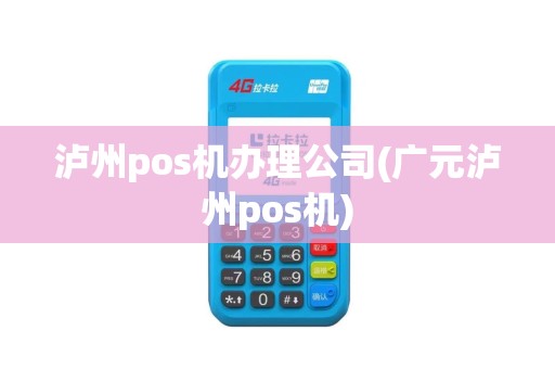 泸州pos机办理公司(广元泸州pos机)