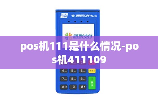 pos机111是什么情况-pos机411109