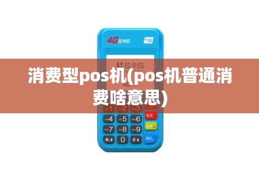 消费型pos机(pos机普通消费啥意思)