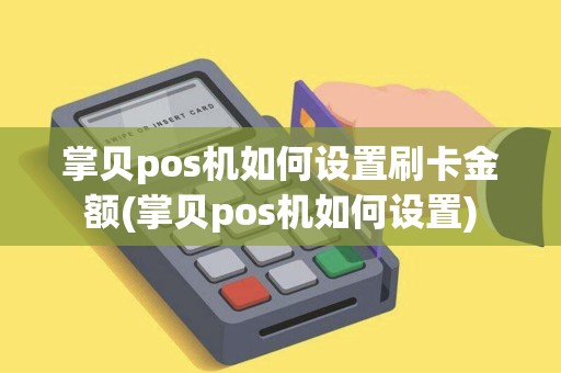 掌贝pos机如何设置刷卡金额(掌贝pos机如何设置)